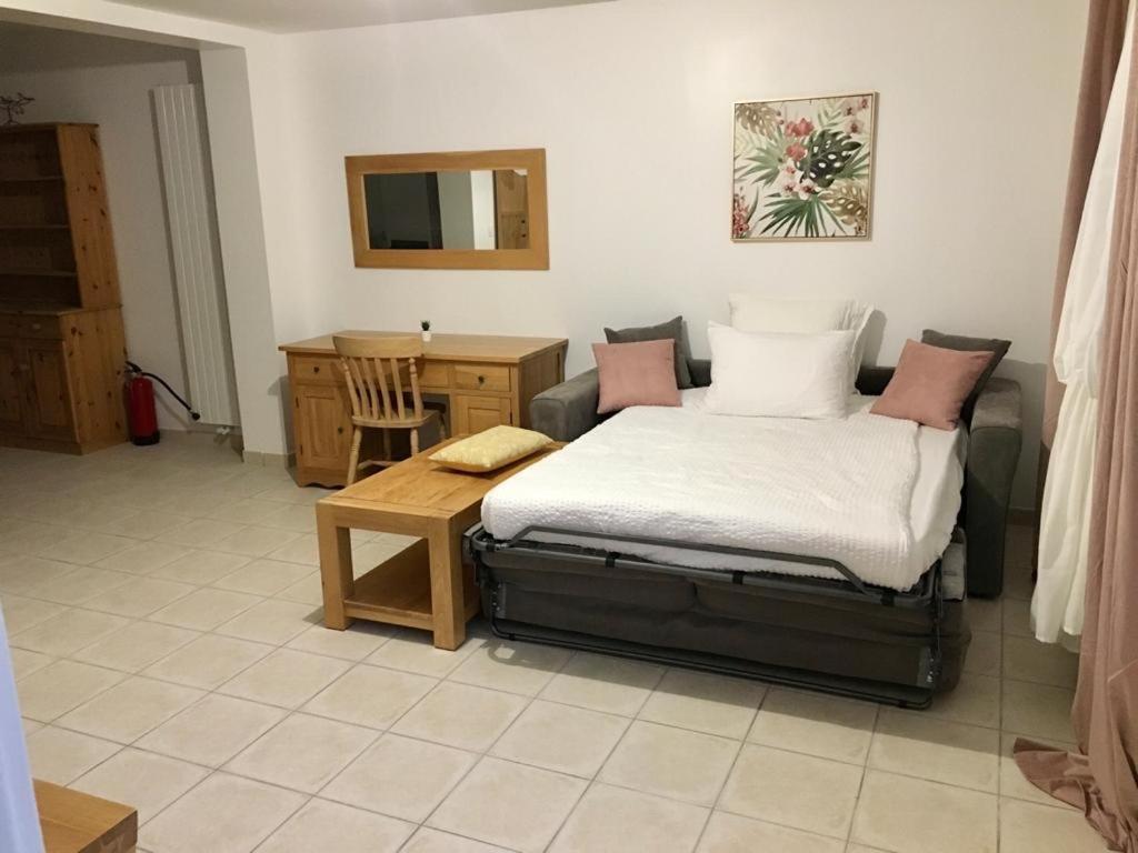 Manoir Et Appartements Avec Piscine Au Domaine De Bize Mirepoix Мирпуа Экстерьер фото