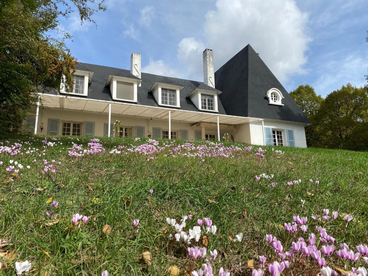 Manoir Et Appartements Avec Piscine Au Domaine De Bize Mirepoix Мирпуа Экстерьер фото
