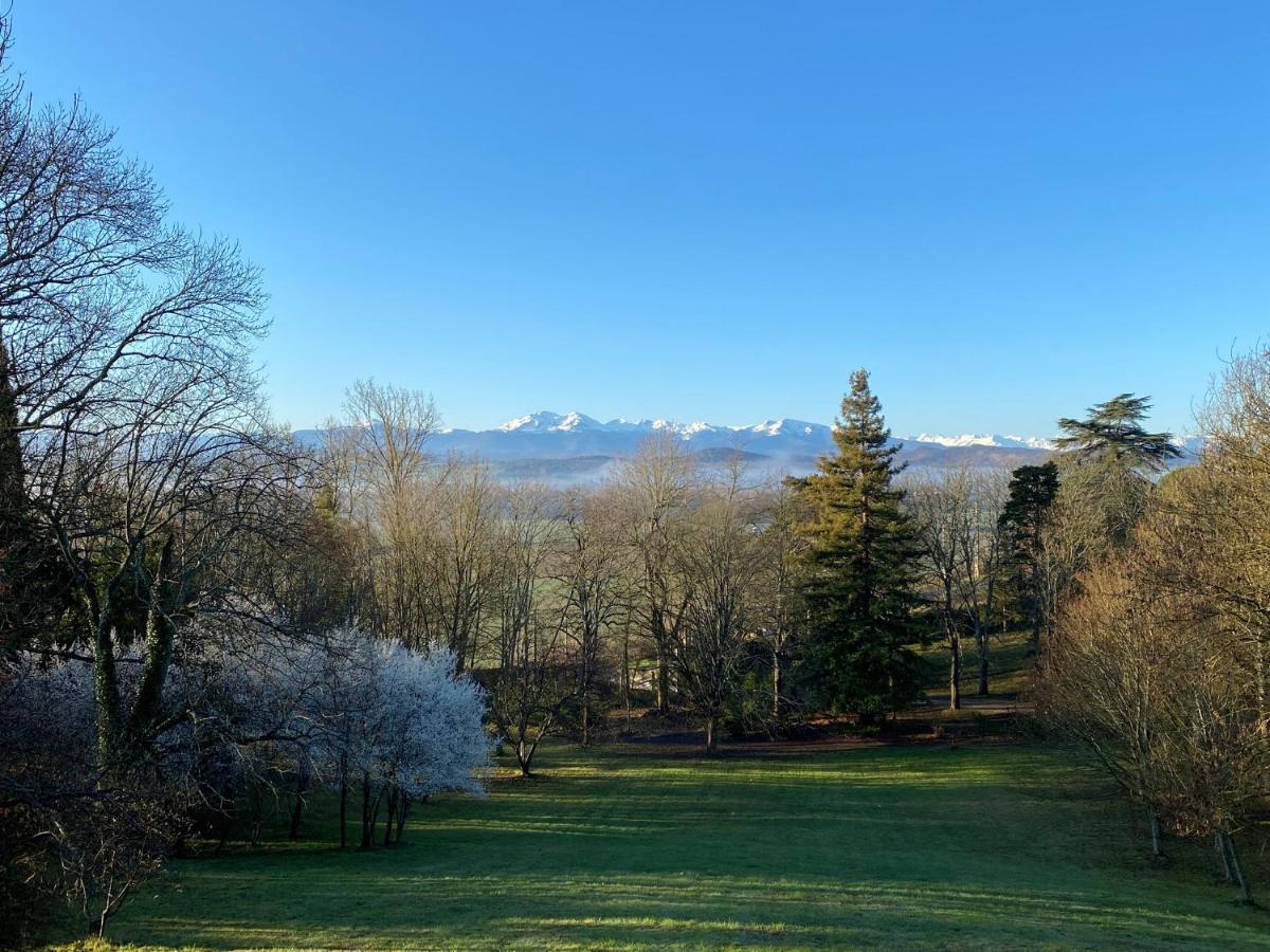 Manoir Et Appartements Avec Piscine Au Domaine De Bize Mirepoix Мирпуа Экстерьер фото